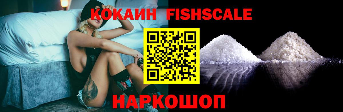 Бошки Шишки Кингисепп