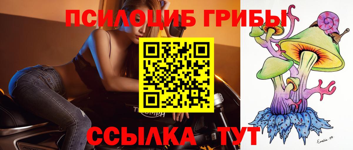 Псилоцибиновые грибы GOLDEN TEACHER Кингисепп
